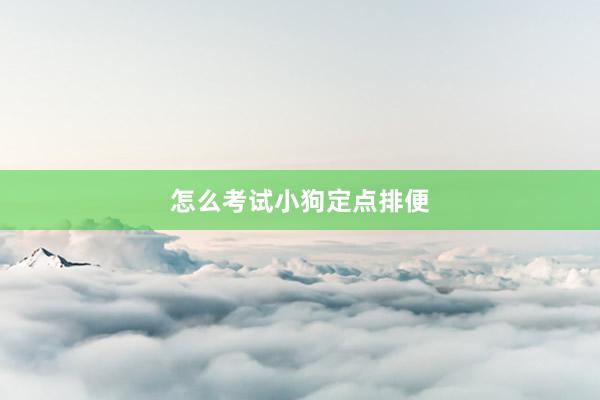 怎么考试小狗定点排便