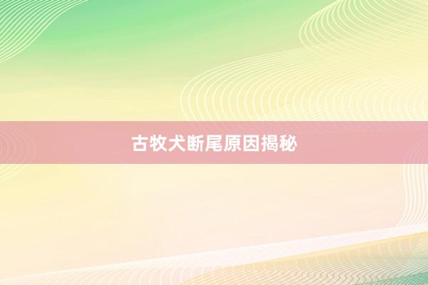 古牧犬断尾原因揭秘