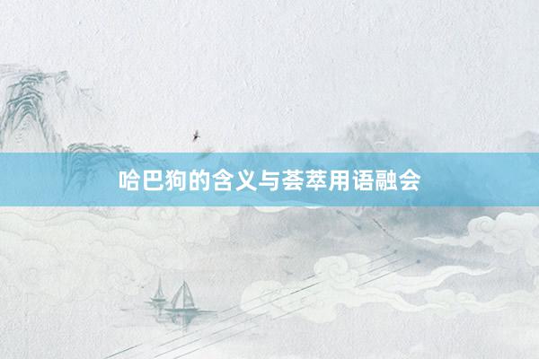 哈巴狗的含义与荟萃用语融会