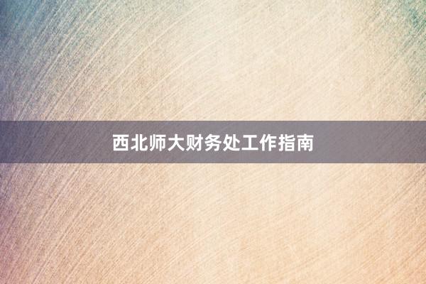 西北师大财务处工作指南